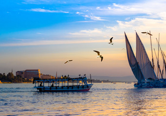 egypten skræddersyede sightseeingture