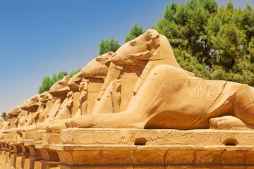 Excursión en Luxor