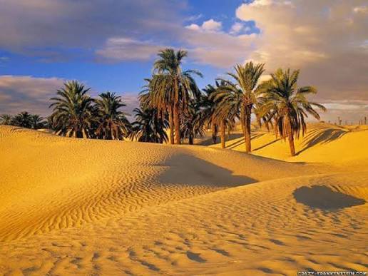 Désert du Fayoum, Wadi El Hitan et lac Qarun