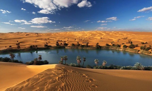 Desert Safaris